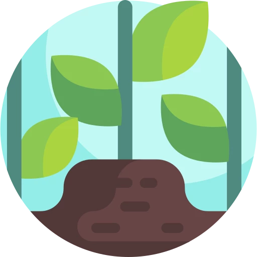 Ball Planting